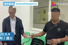 流浪狗撞伤老人投喂者赔4万，律师释法：投喂是否算饲养视情况而定图片