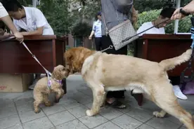 合肥大清查！即将开罚图片