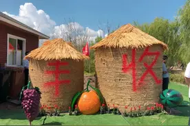 招募！丰收节来了，还有外滩无人机表演秀！图片