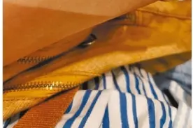 猫癣会传染人……医生提醒：养宠物要防人畜共患病图片