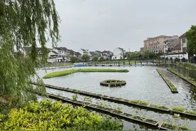 渔村生意火爆，无人机基地二期建设……上海金山靠这些出圈图片