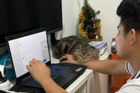 家猫总是粘着丈夫 竟让妻子觉得自己多余图片