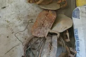 湖北一男子非法猎食野生狗獾被刑拘图片