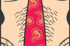 格雷伯的礼物︱论领带的权力悖论：一根男性象征物的位移图片