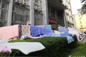 阳光和被子缺一不可 但大风总忍不住“搞事情”图片
