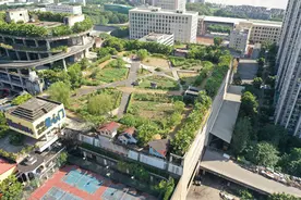 “城会玩”？重庆市中心一高楼楼顶建农场，员工每日种菜摸鱼图片