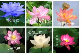 给糖就不闹、坐在豪车里的美人…可可爱爱中老年微信名大赏，是我妈没错了图片