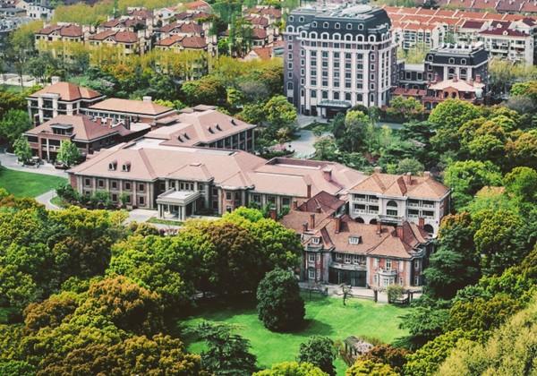 柠檬炖花胶 2026年柠檬泡花胶