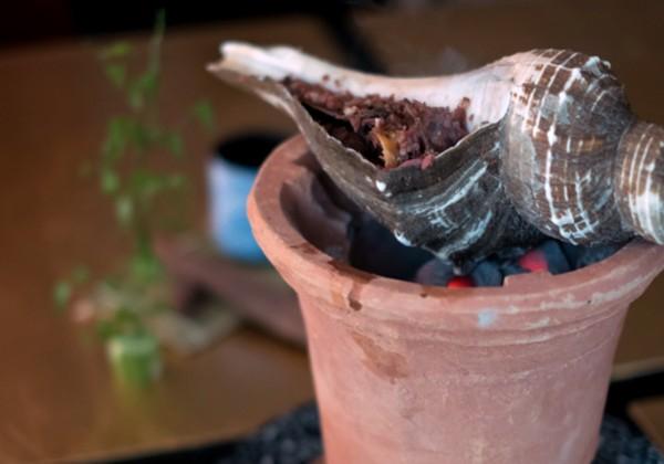 柠檬炖花胶 2026年柠檬泡花胶