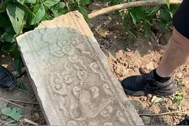 宜兴工地上挖出的这块石头，竟然大有来头图片