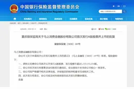 马上金融启动A股IPO，或成首家上市消费金融公司图片