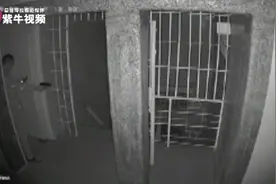 「紫牛头条」“华子哥”津巴布韦拔枪怒射劫匪，江苏老乡披露内幕图片