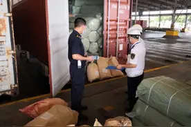 厦门查处1.2吨危险品瞒报案件图片