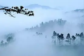 布衣菜饭 可乐终身图片