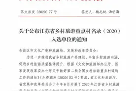 赶紧来！东台这个村火了图片