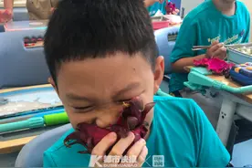“今天学校午餐水果是火龙果！”全班同学吃火龙果的画面，既欢乐又“诡异”图片