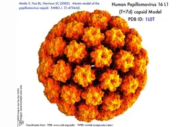 九价宫颈癌疫苗Ⅲ期临床研究招募志愿者图片