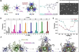 复旦“人造分子”成果登《科学》：让纳米粒子简易拼接如乐高图片