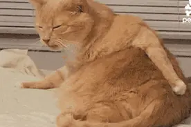 家里螨虫成灾？我们找到了它的6个死穴！图片