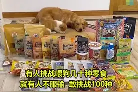 大胃王狗狗流泪了，网友痛批：为了卖货不择手段图片