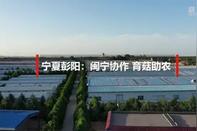 宁夏彭阳：闽宁合作 育菇助农视频封面