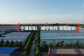 宁夏彭阳：闽宁合作 育菇助农视频封面