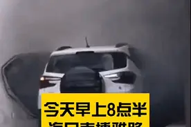 事发海口！车主从家里接线充电，新能源汽车自家门口起火燃烧……图片