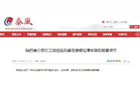 陕西商洛市原公安局长雷雨主动投案：曾任商南县委书记，两继任者均因受贿获刑图片
