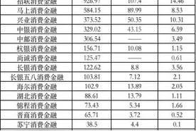 21深度｜为什么是马上消费金融有望冲刺持牌消金第一股？图片