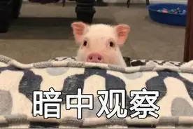 女子剁猪骨时划伤手指，却患上罕见病！全球仅450例图片
