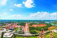 雷州：奋力迈过“四道坎”坚决打赢“五大会战”图片