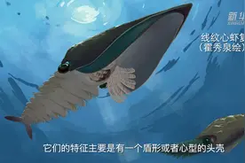 5亿年前的“虾子” 原来长这样视频封面