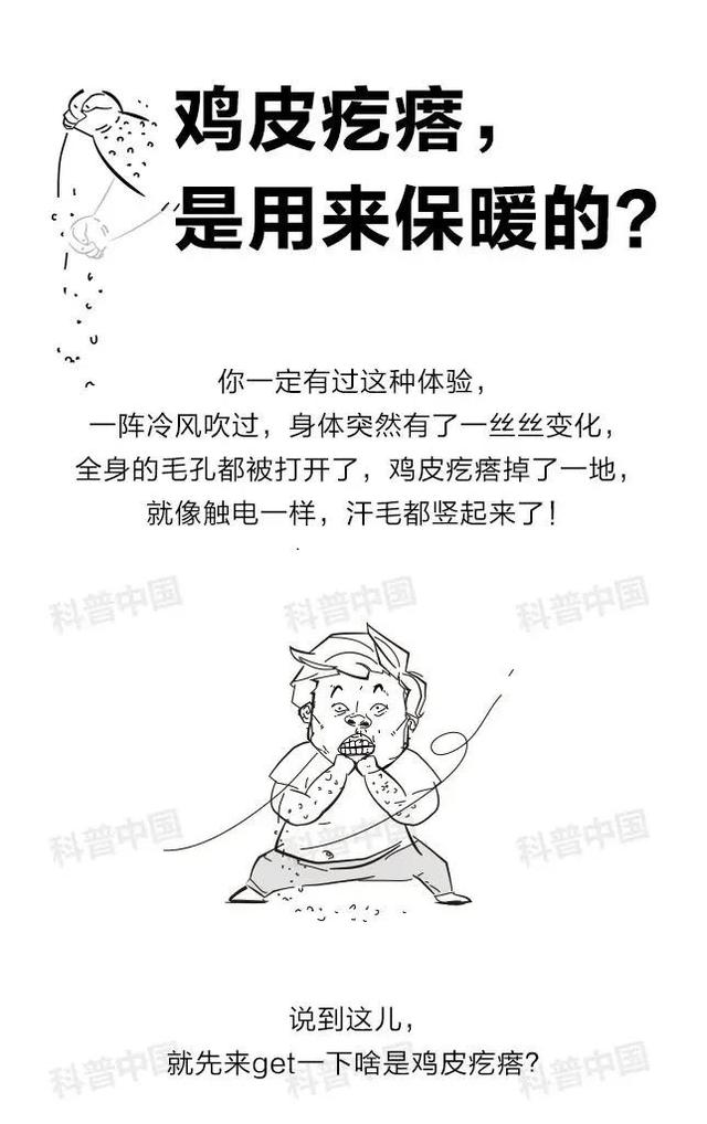 鸡皮疙瘩的内容