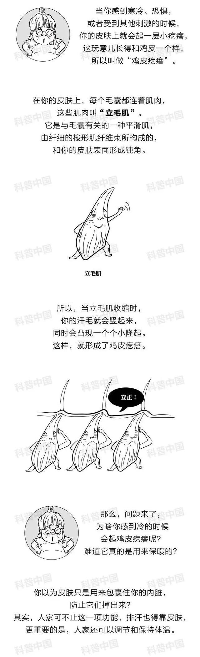 鸡皮疙瘩的内容
