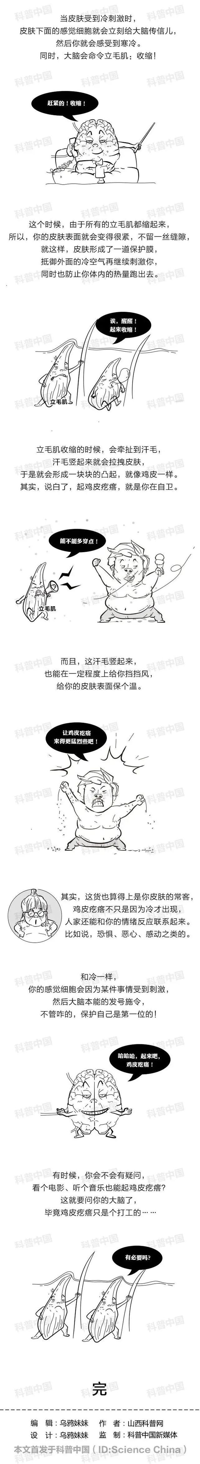 鸡皮疙瘩的内容