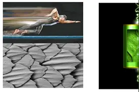 大自然的魔法转换——布满生活的人工蜘蛛丝丨科普硅立方图片