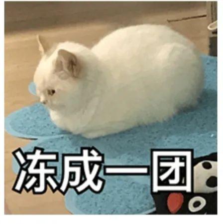 躲在被窝里起鸡皮疙瘩