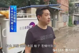 小区杂草一人高、垃圾遍地，济南市中这个小区让居民“受不了”图片