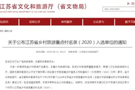 名录公布！泰州这两个地方要火了图片