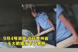 这条有味道的新闻，令我们肃然起敬图片