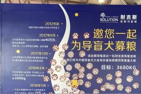 暖心公益 为支持导盲犬再捐犬粮3.6吨图片
