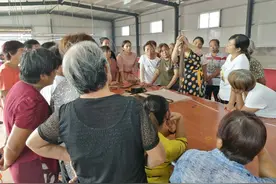 镇平县枣园镇大力培育发展假发制作产业图片