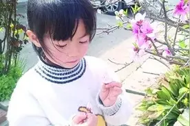 如何将孩子缺失的“自然”补回来？自然科普达人这样讲→图片