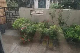 天津 下午5点开始下雨，下班快回家图片