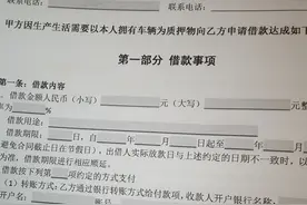杭州汽车二抵市场惊现“黑车产业链”：典当行等机构或成幕后推手图片