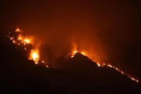 都烧没了！总台记者深入美国加州山火现场图片