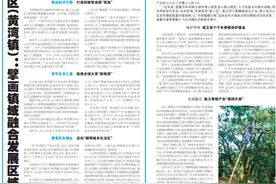 都市圈高水平小康样本镇街巡礼③海宁尖山新区（黄湾镇）：擘画镇域融合发展区域标杆图片