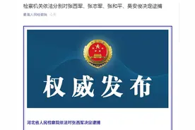 张西军、张志军、张和平等4名副厅级官员被依法决定逮捕图片