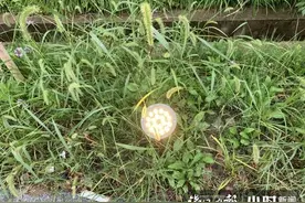 怎么破？杭州一小区边上的景观灯开通宵，还直射居民楼，居民不淡定了图片