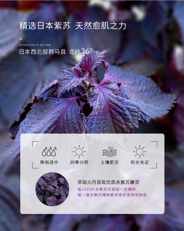 新生儿抹身体乳好还是精油好